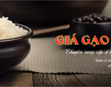 GẠO NGON