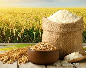 Gạo Bếp Ăn Công Nghiệp Thủ Đức