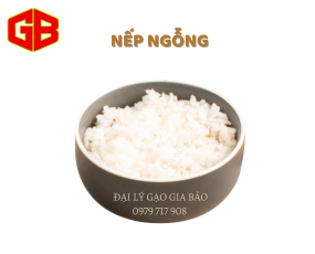 Nếp Ngỗng 