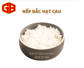 Nếp Bắc Hạt Cau