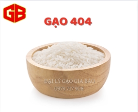 Gạo 404