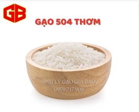 Gạo 504 
