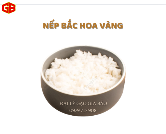 Nếp Bắc Hoa Vằng 