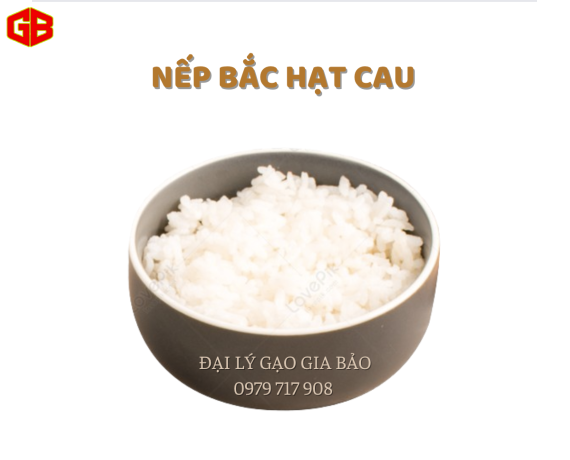 Nếp Bắc Hạt Cau