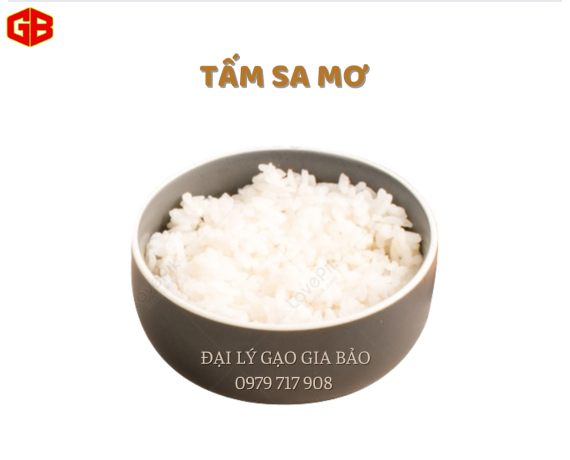 Tấm Sa Mơ