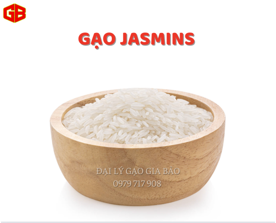 Gao Jasmins