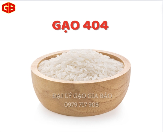 Gạo 404