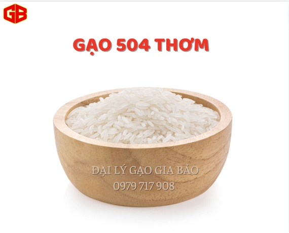 Gạo 504 
