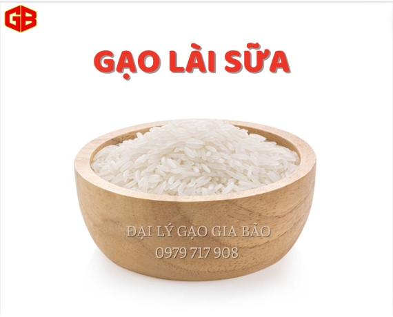 Gạo Lài Sữa