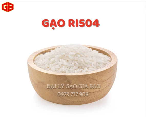 Gạo RI504