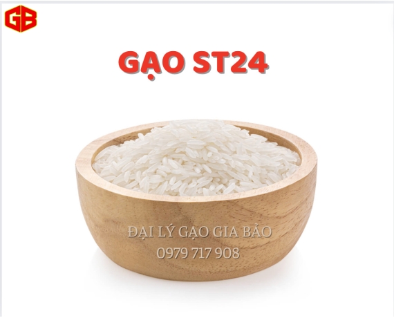 Gạo ST24 Đặc Sản