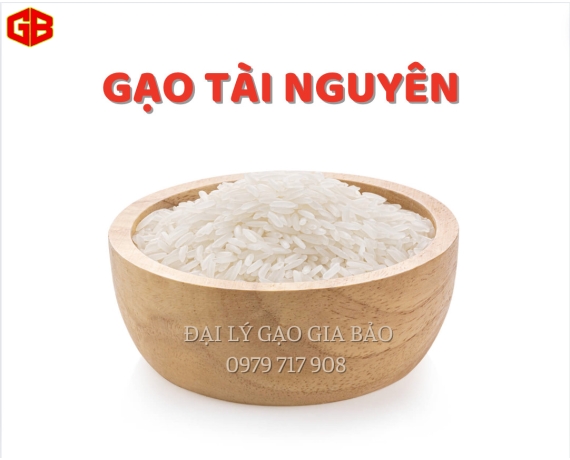 Gạo Tài Nguyên 